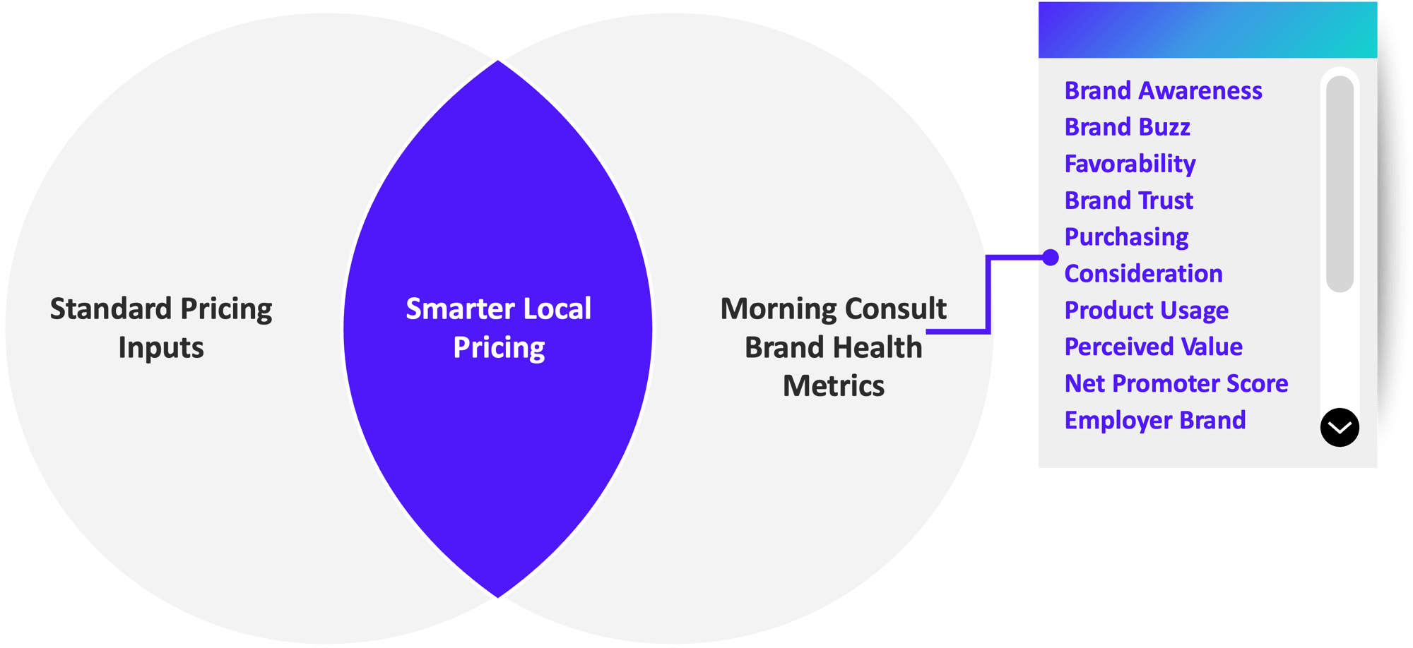 CS_BP_Venn_v2 CS_BP_Venn_v2